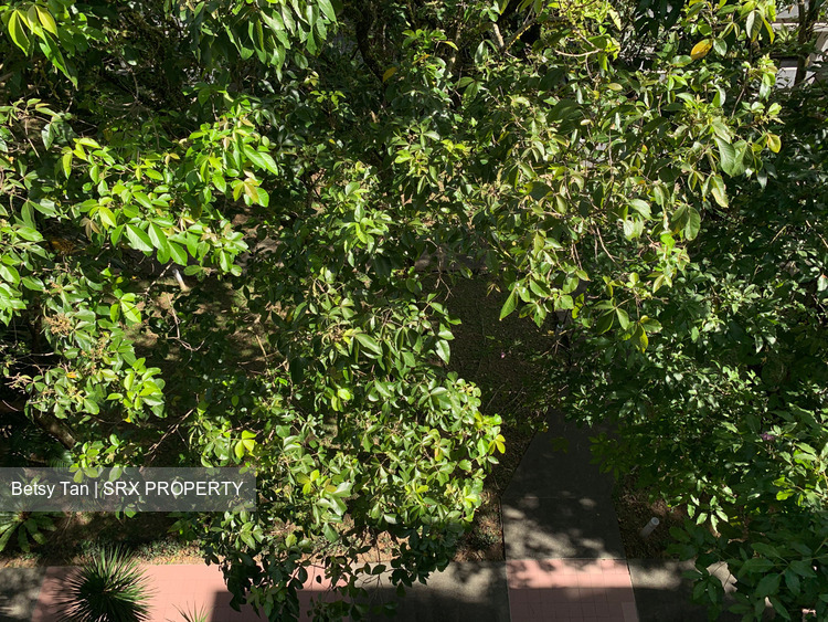 Braddell View (D20), Apartment #257291791